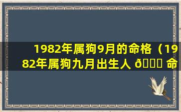 1982年属狗9月的命格（1982年属狗九月出生人 🐝 命 🐳 运如何）